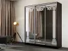 Шкаф-купе «Тринити-5 NEW, 3-х створчатый» (Ш*В*Г)2000*2244*600 мм