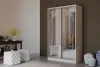 Шкаф-купе «Тринити-1 NEW 2-х ств» (Ш*В*Г)1350*2244*600 мм